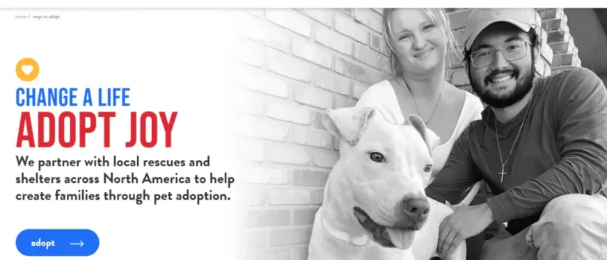 PetSmart转型启示录:从濒危企业到87亿美元巨头的逆袭之路