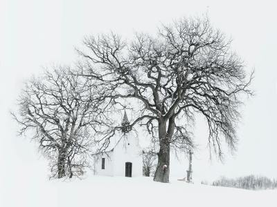 30天狂卖8万件！TikTok“光腿神器”引爆美国冬季市场