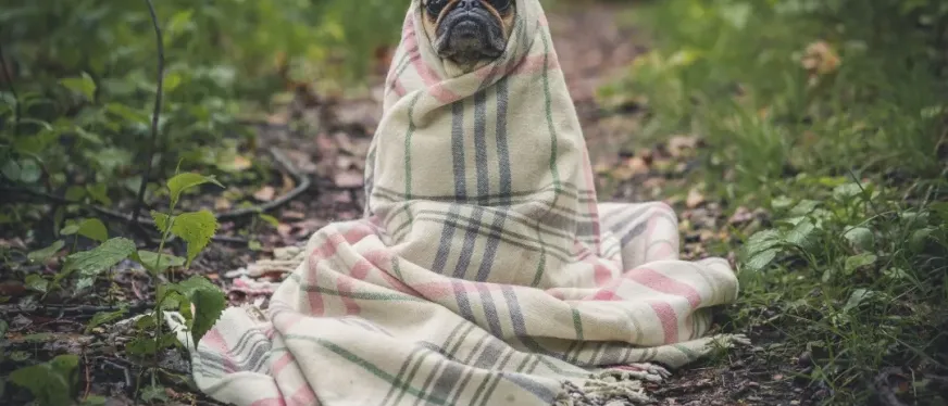 68亿隐形赛道,曾经的“冷门小众”现在成了“热门刚需”