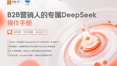 B2B营销人的专属DeepSeek操作手册