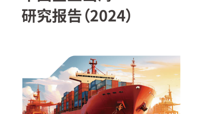 2024中国企业出海橙皮书V2