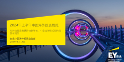 2024年上半年中国海外投资概览