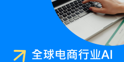 2025全球电商行业 AI 应用研究报告