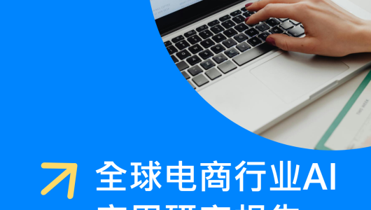 2025全球电商行业 AI 应用研究报告