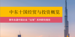中国企业“出海”系列研究报告：中东十国经贸与投资概览