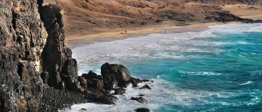 解读：最新一份报税单，看其中税率！