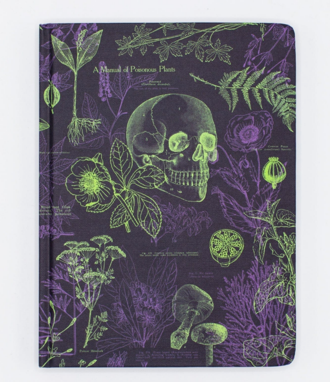 返校季爆款密码:美国DTC品牌用科学元素打造高溢价文具