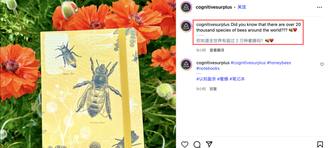​返校季爆款密码：美国DTC品牌用科学元素打造高溢价文具​