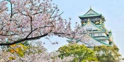 2025日本电商市场洞察与独立站出海解决方案