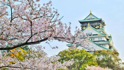 2025日本电商市场洞察与独立站出海解决方案