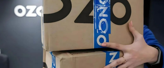 俄罗斯四大电商平台对比:从Wildberries到AliExpress的本地化运营法则