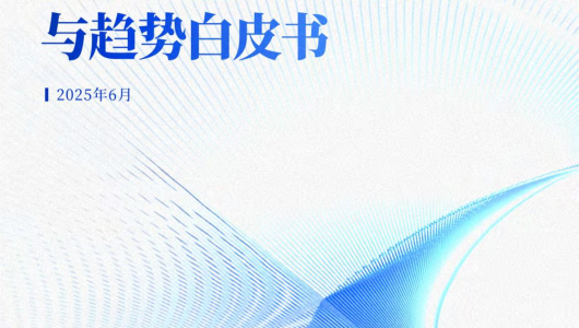 中国零售数字化企业出海现状与趋势白皮书