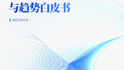 中国零售数字化企业出海现状与趋势白皮书