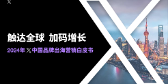 2024年X中国品牌出海营销白皮书
