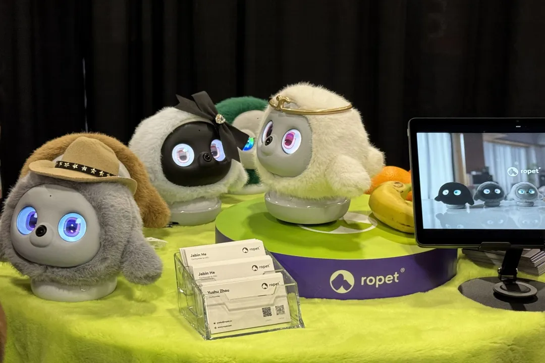 规模5年翻倍！宠物赛道这个新爆品，越来越火了 | 爆品洞察