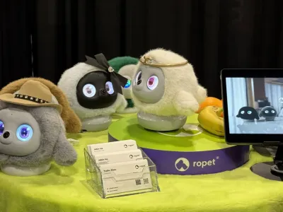 规模5年翻倍！宠物赛道这个新爆品，越来越火了 | 爆品洞察