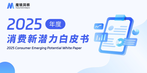 2025年度消费新潜力白皮书