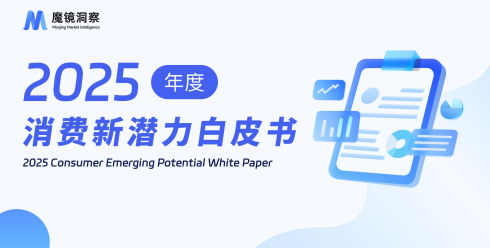 2025年度消费新潜力白皮书