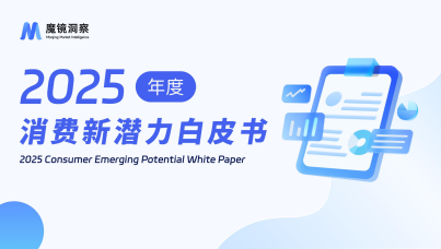 2025年度消费新潜力白皮书