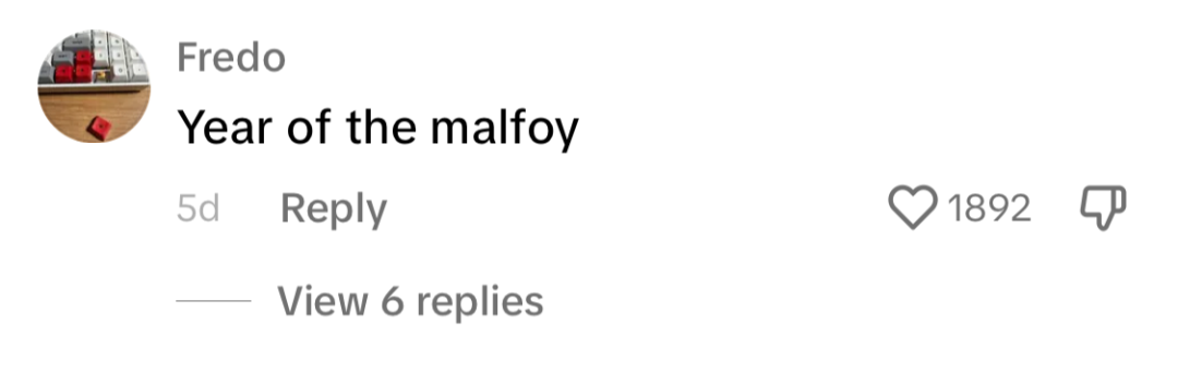 “马尔福”谐音梗走红TikTok，老外笑疯了