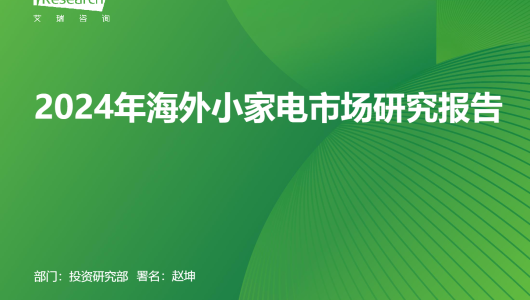 2024年海外小家电市场研究报告