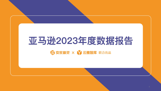 亚马逊2023年度数据报告