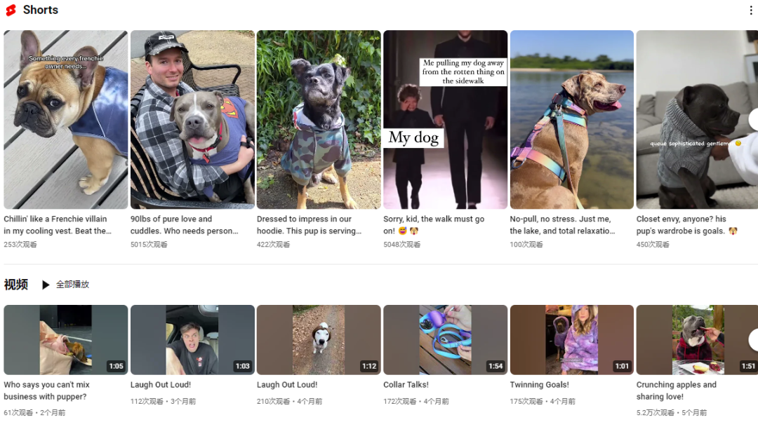 图片 一件狗衣服卖两三百,半年狂揽5600万美金