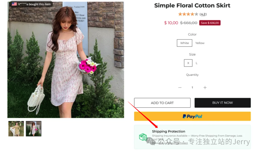 图片 最安全的独立站路线,往往最难成功?90%卖家忽略的特货独立站真相