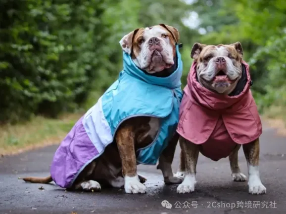 一件狗衣服卖两三百，半年狂揽5600万美金