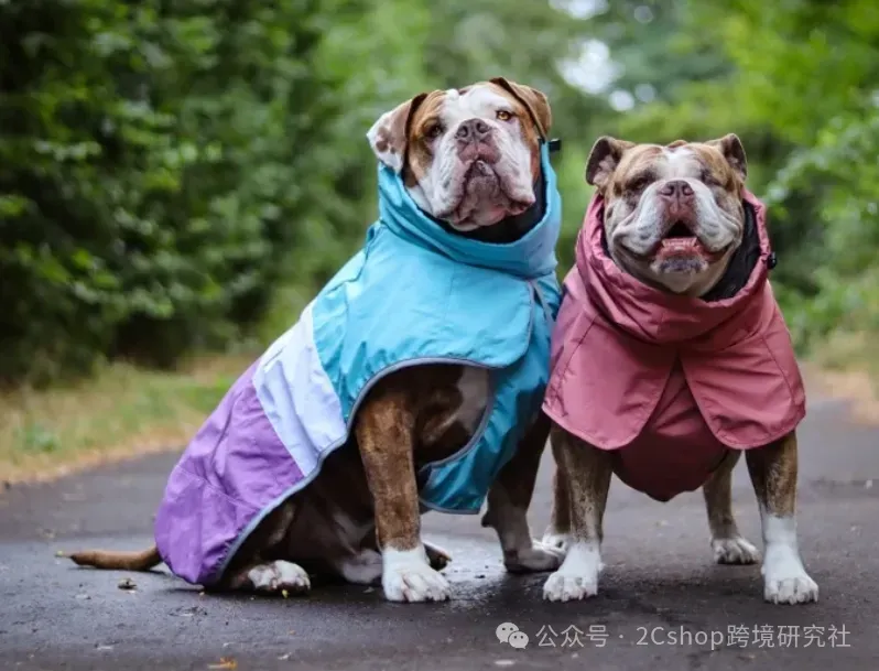 一件狗衣服卖两三百,半年狂揽5600万美金