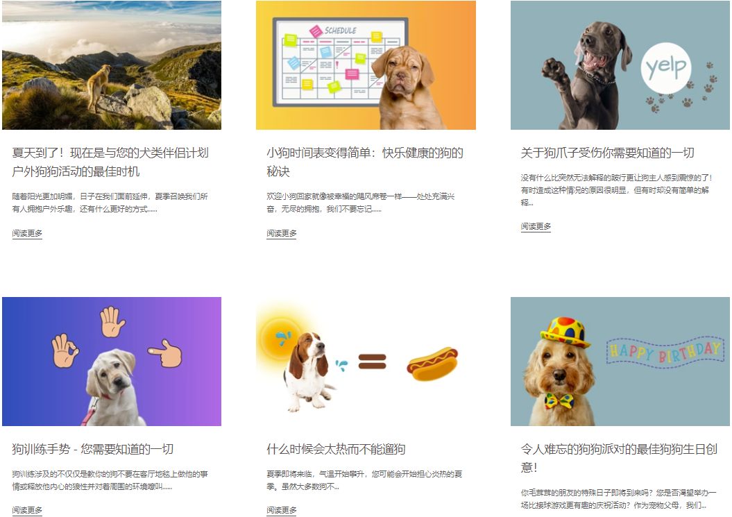 图片 一件狗衣服卖两三百,半年狂揽5600万美金