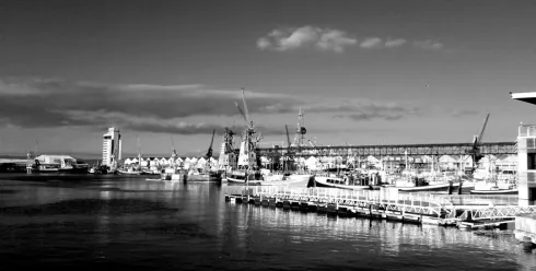 中东卖家：在爆单前先爆炸了