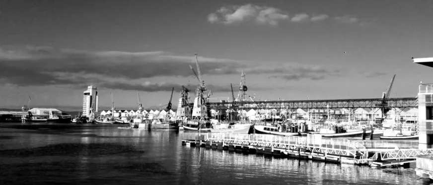 中东卖家:在爆单前先爆炸了