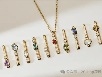 从5000美金到年营收2亿，珠宝独立站的出圈密码