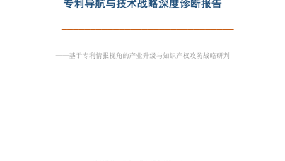 日化用品（洗衣粉）产业专利导航报告