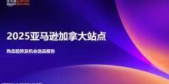2025 年亚马逊加拿大站点热卖趋势及机会选品报告
