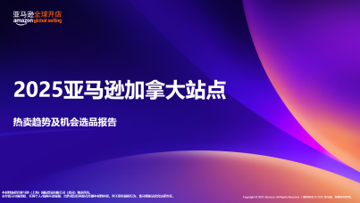 2025 年亚马逊加拿大站点热卖趋势及机会选品报告