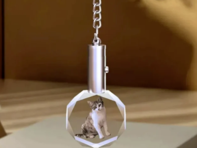 80%毛利的蓝海赛道：宠物水晶如何撬动双千亿市场