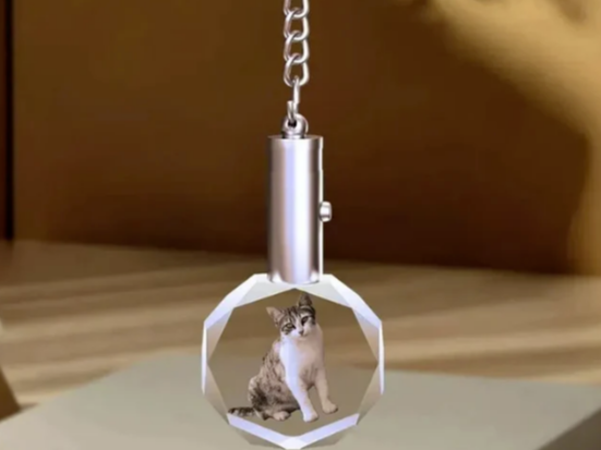 80%毛利的蓝海赛道：宠物水晶如何撬动双千亿市场