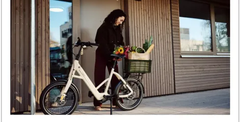 关税80%、同行破产，TENWAYS凭什么敢冲“E-bike第一股”？