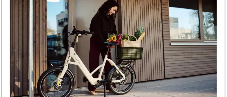 关税80%、同行破产，TENWAYS凭什么敢冲“E-bike第一股”？