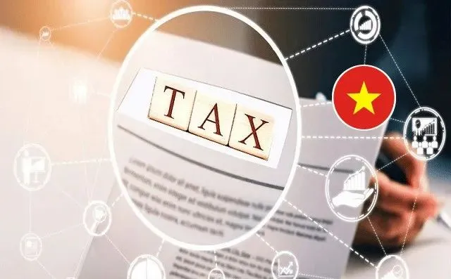 越南取消免税额，欧盟加征手续费，全球贸易格局加速调整！