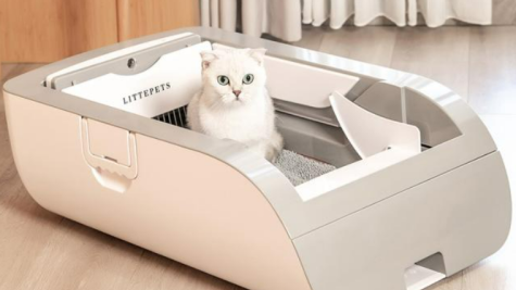 跨境爆品新风口：科学养宠产品，三大市场掘金指南