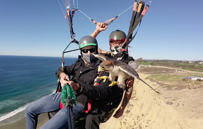 驴友IPO！年入29亿，估值120亿，红杉5轮猛追