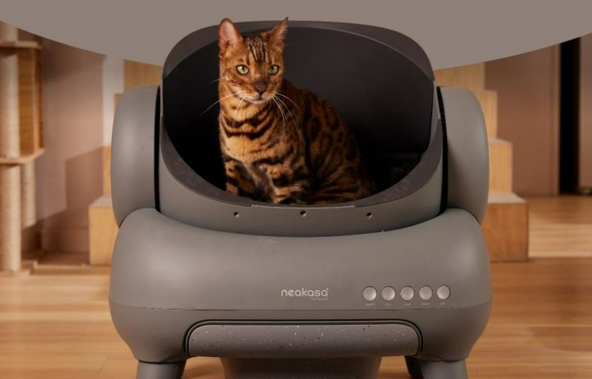 跨境爆品新风口：科学养宠产品，三大市场掘金指南