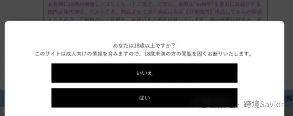 成人用品独立站暴利玩法：0-1全流程教学（建站·推广·收款·发货）