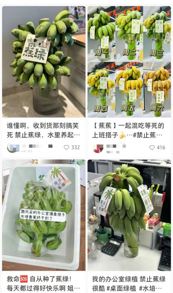 一度售罄,净利润达33%,创业卖“香蕉帽”竟能年入百万美金