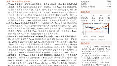 从商户视角看TEMU的效率与空间