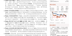 拼多多跨境电商 Temu 五问五答