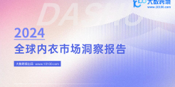 2024全球内衣市场洞察报告